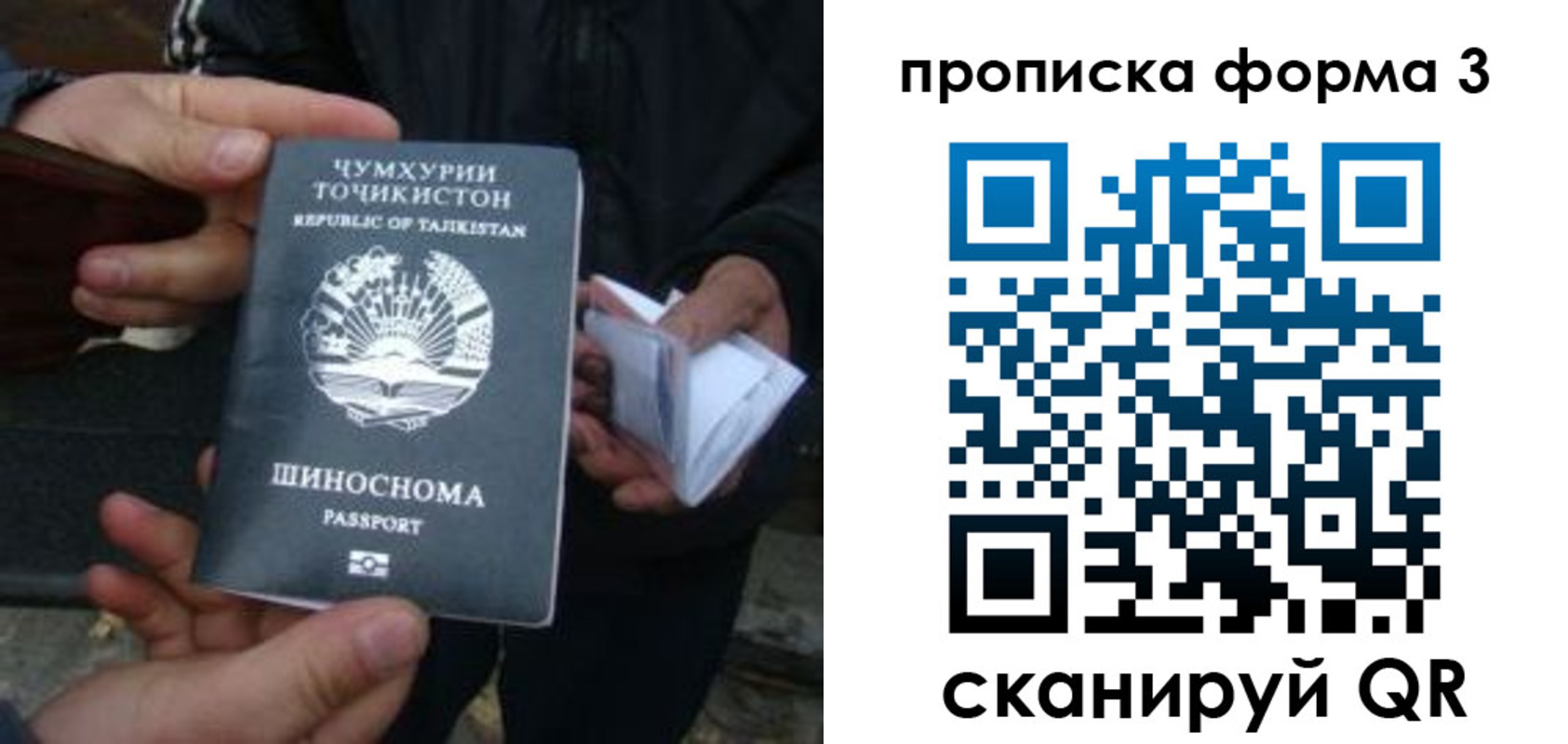 прописка 2025 в Николаевске-на-Амуре